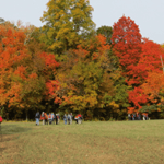 Stout Family Fields