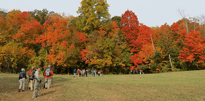 Stout Family Fields