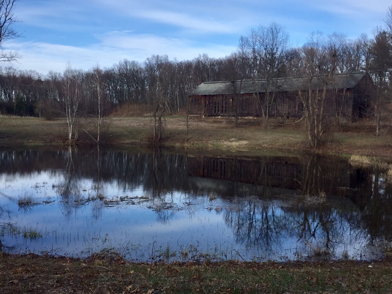Thrall Farm