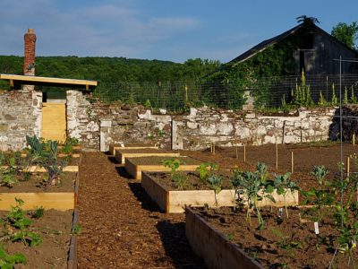Community Gardens at LaSalette Park.