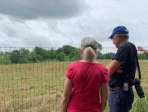 Overlooking field where Purple Martins hunt insects