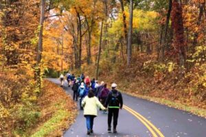 Hikers on Hoskins Road, Bloomfield