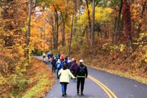 Hikers on Hoskins Road, Bloomfield