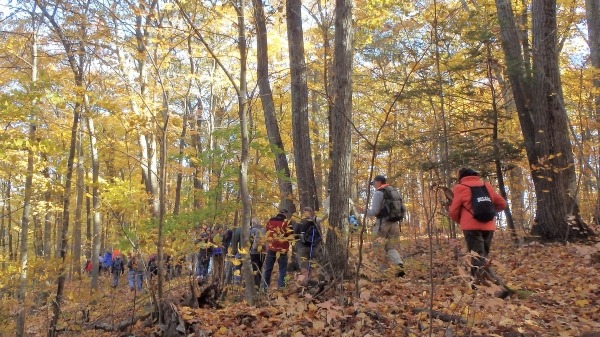 Photo of hikers passing between trees and over fallen leaves in Penwood State Park during the hike in 2019