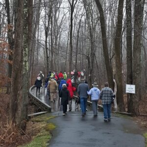 Walkers crossing bridge amidst forest during First Day Hike