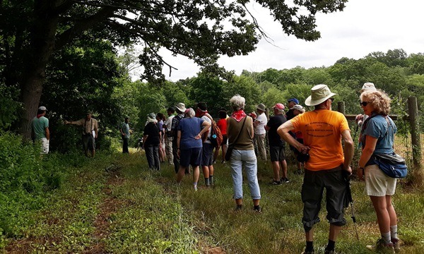 Picture of guides leading a group along the farm road