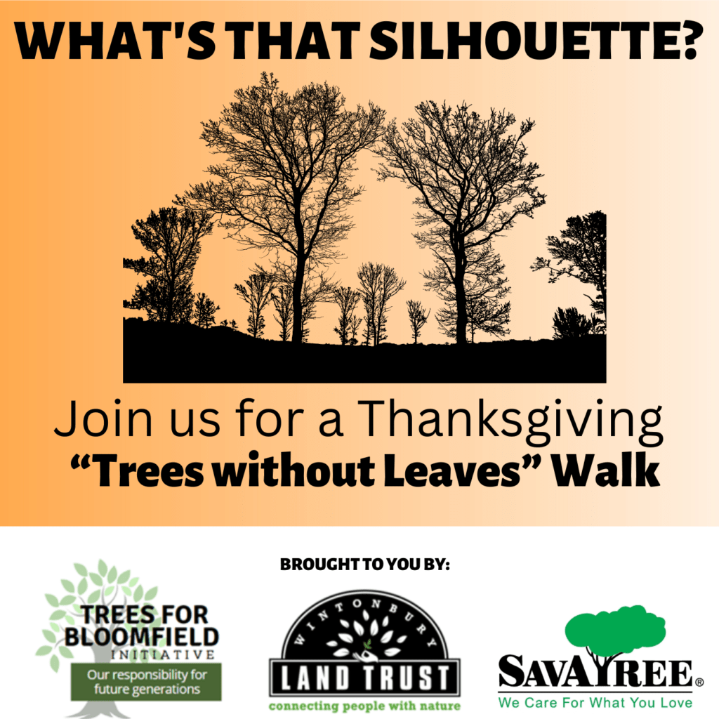 Cosponsored by the Town's Trees for Bloomfield initiative, SavATree company, and Wintonbury Land Trust