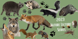 Mosaic of animals featured in nature lecture series.