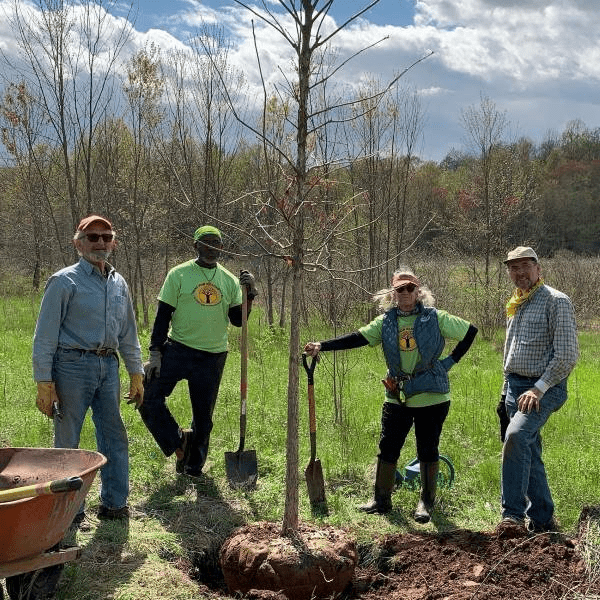 Four volunteers stand facing photographer with a newly planted tree between them